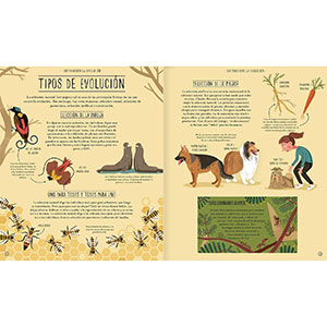 9789563641103-6-increible_evolucion_2000x-1.jpg
