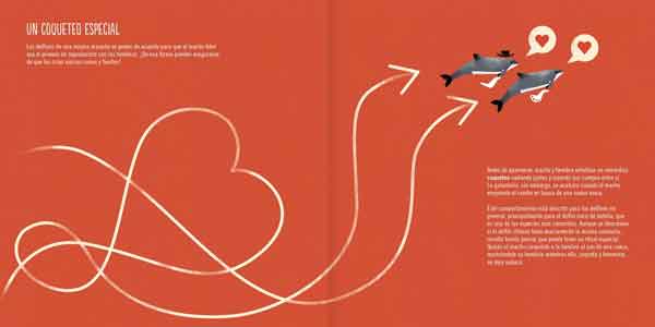 El Delfín Chileno - Imagen 3