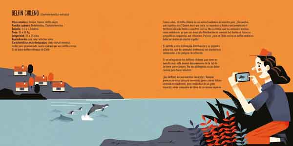 El Delfín Chileno - Imagen 2