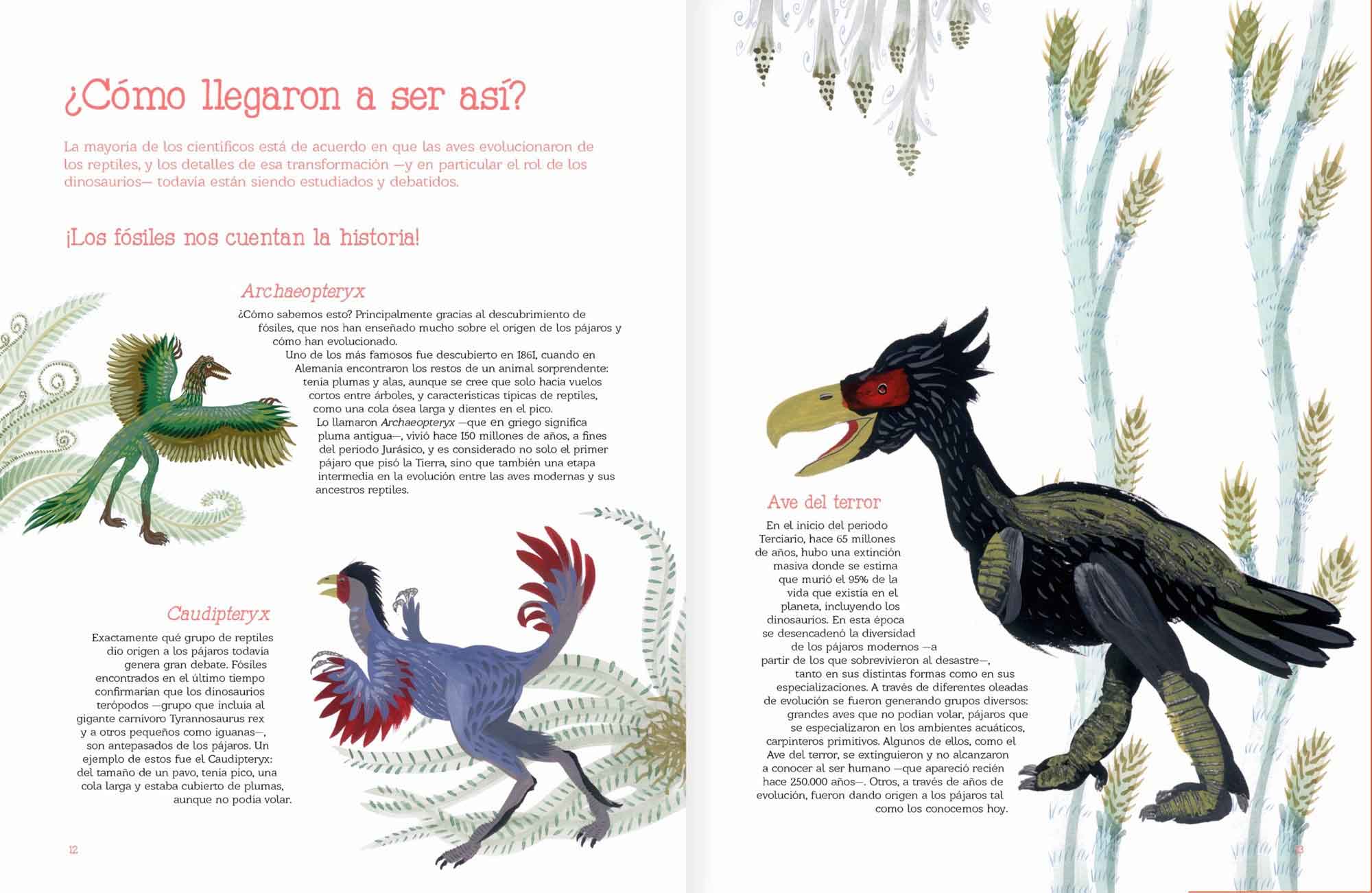 Vuelo De Pájaros Americanos - Imagen 4