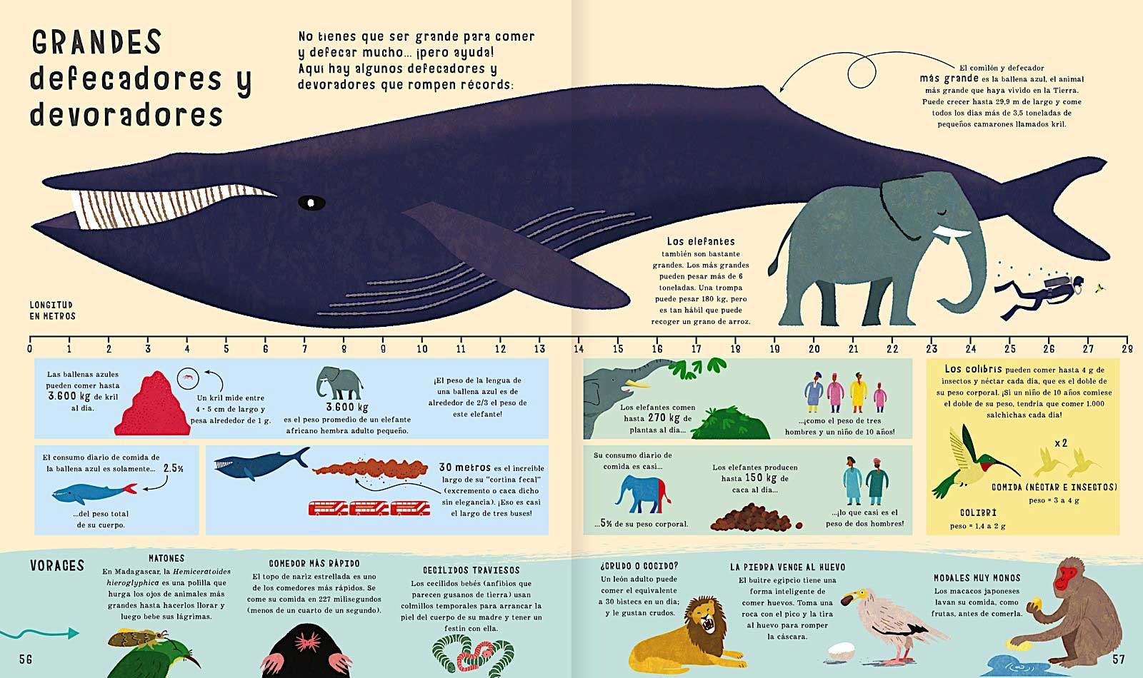 El Libro De Las Comparaciones - Imagen 4