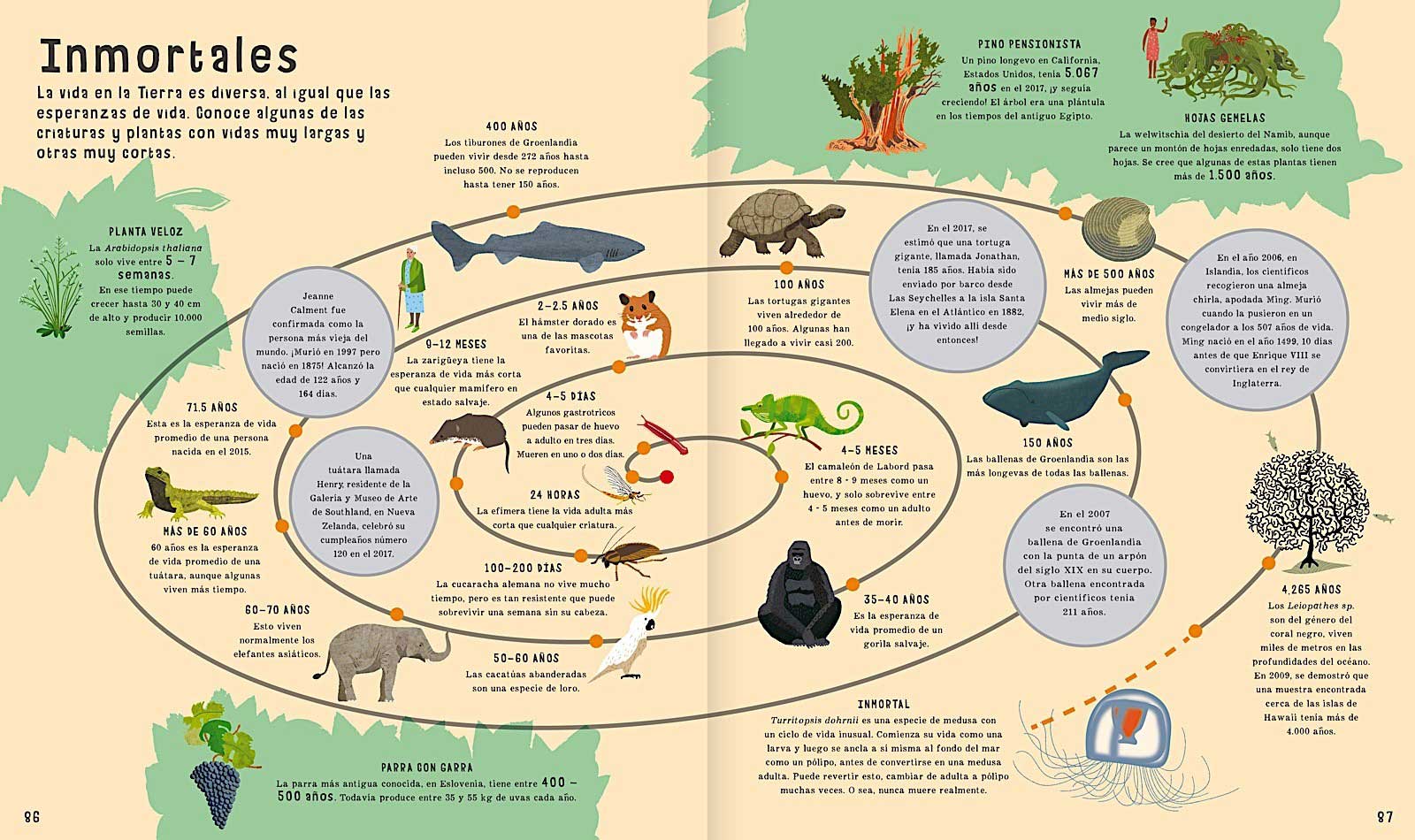 El Libro De Las Comparaciones - Imagen 2