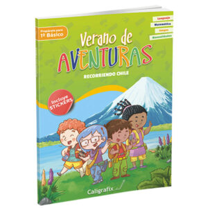 Verano De Aventuras "Recorriendo Chile"