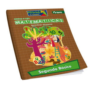 Apoyo a las mátematicas Torre 2do Básico