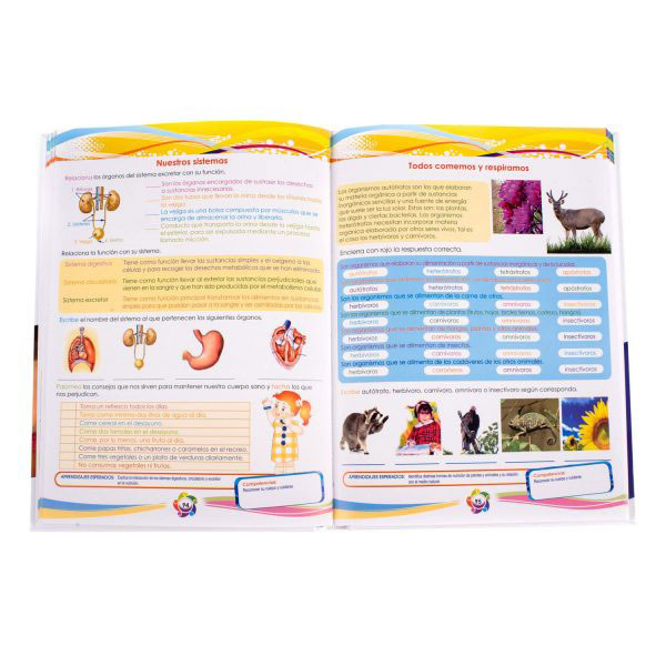 Actividades Dinámicas Primaria - Imagen 2