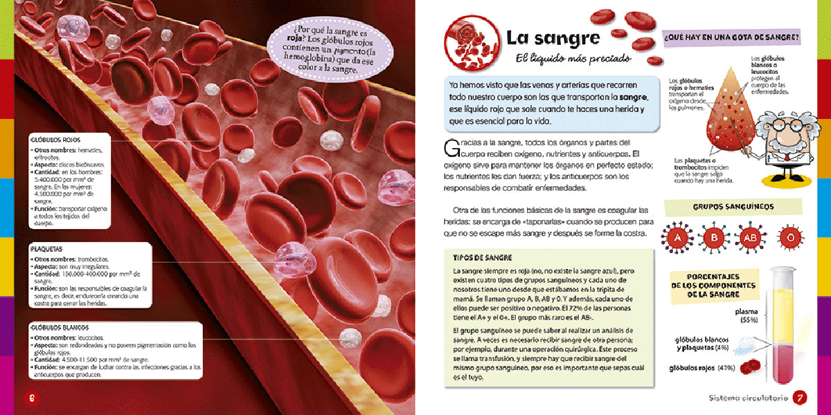 Curiosidades Del Cuerpo Humano - Imagen 4
