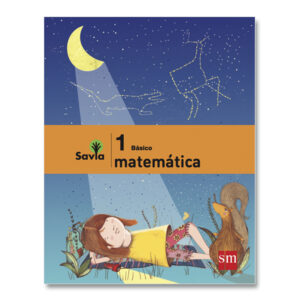 Set Matemáticas 1°
