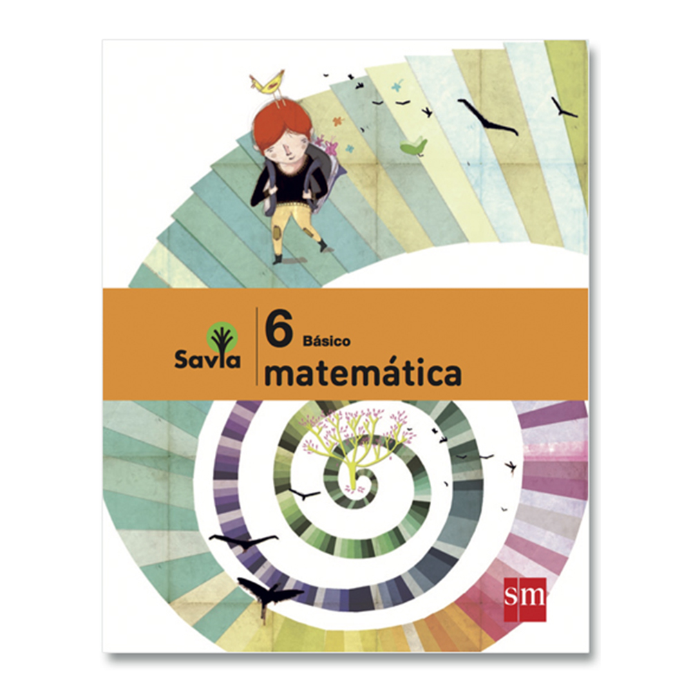 Set Matemáticas 6°