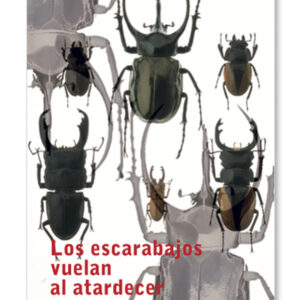 Los escarabajos vuelan al atardecer