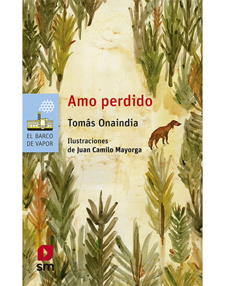 Amo perdido (Proyecto Loran)