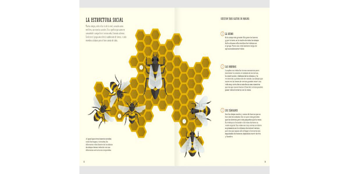 El Mundo De Las Abejas - Imagen 3