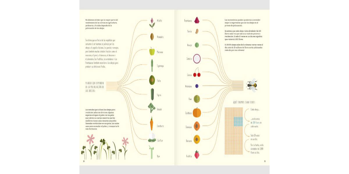 El Mundo De Las Abejas - Imagen 4