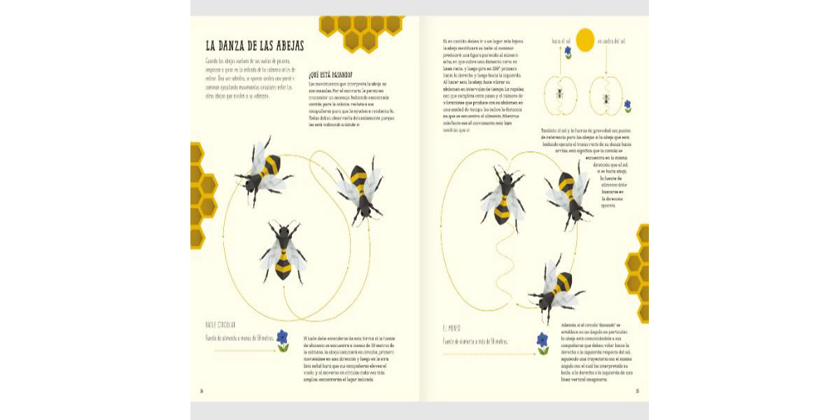 El Mundo De Las Abejas - Imagen 5