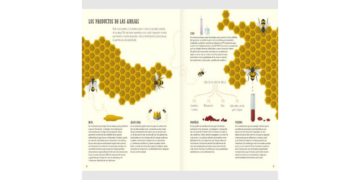 El Mundo De Las Abejas - Imagen 6