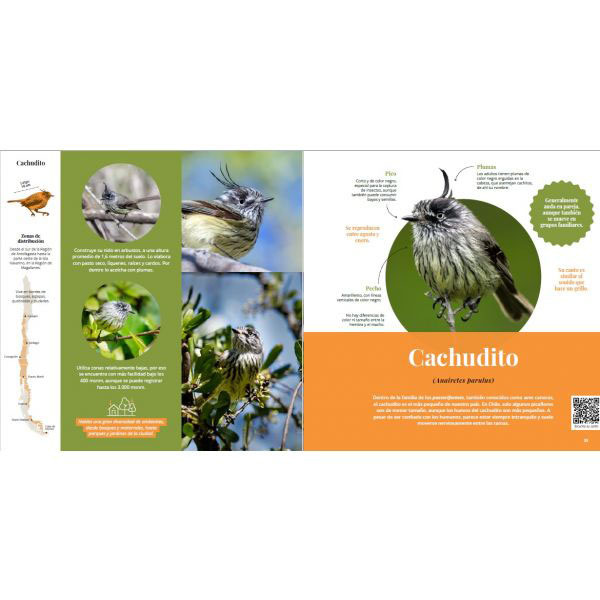 Guía Aves De Chile - Imagen 3