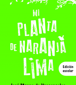 Mi Planta De Naranja Lima