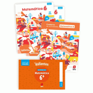 Matemática 6°
